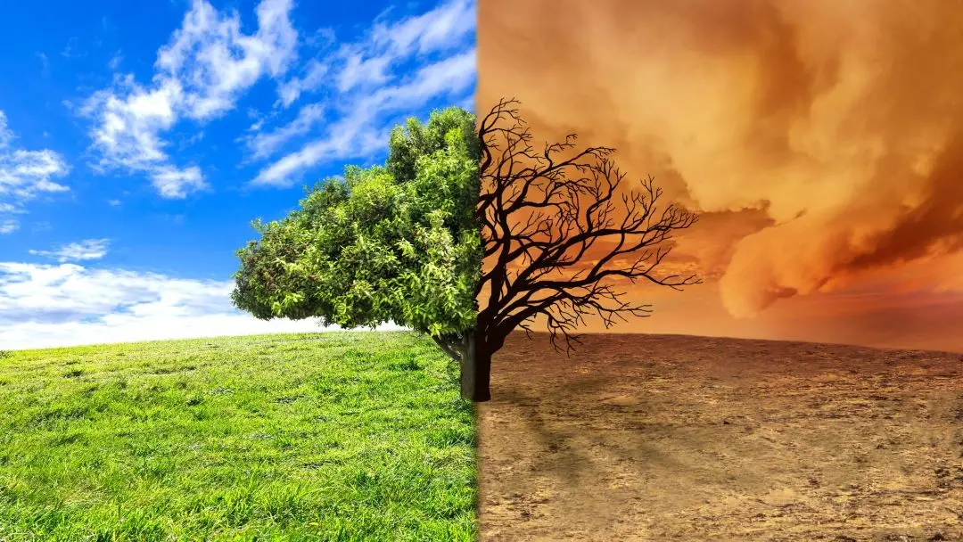 Representational image | Photo: Canva.com