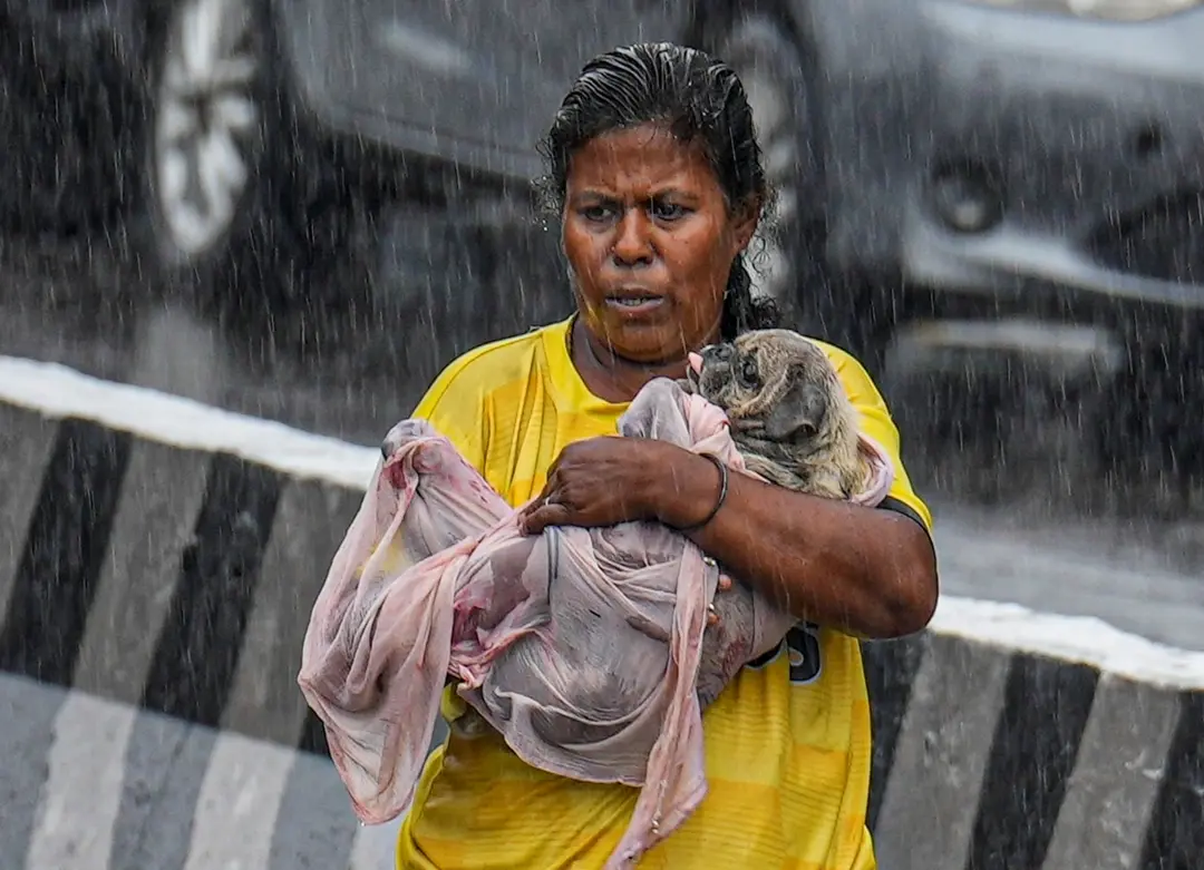 A woman with a puppy amid rains in Chennai | Photo: PTI