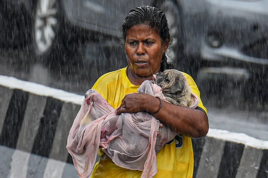 Chennai rain update: Orange alert issued as northeast monsoon brings heavy downpour
