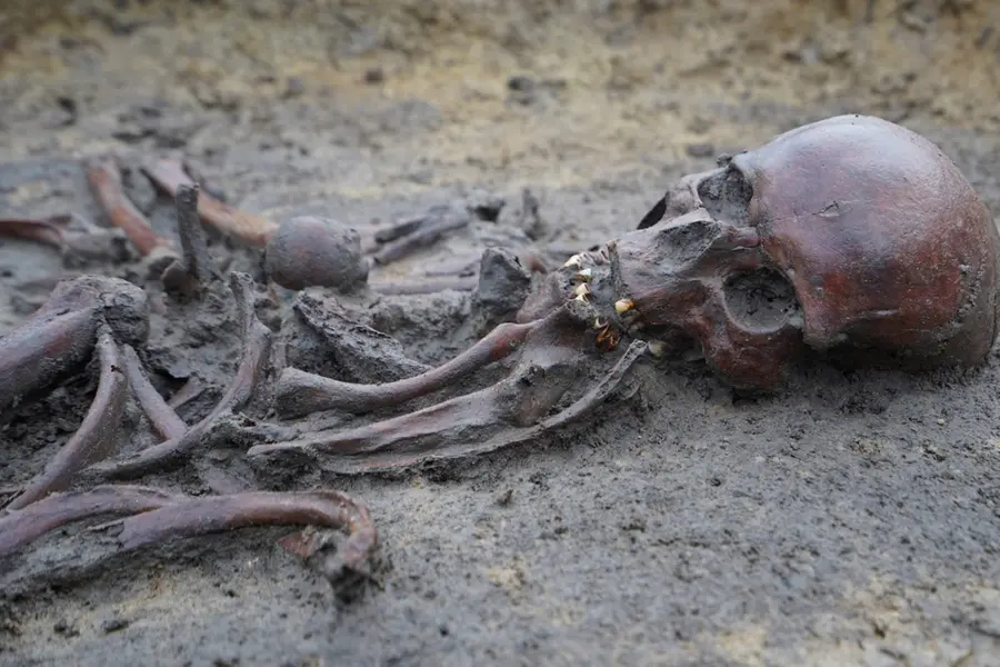 Landmark discovery: 50 well-preserved Viking-age skeletons unearthed in Denmark | PHOTOS