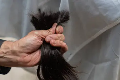 Man cuts girl's hair during Navaratri celebrations; search underway for culprit