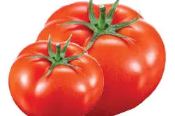 Tomato price doubles to Rs 60 on poor supply