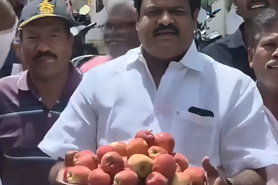 Congress 3rd in J&K elections, but Trichy unit celebrates with Kashmiri apples | WATCH