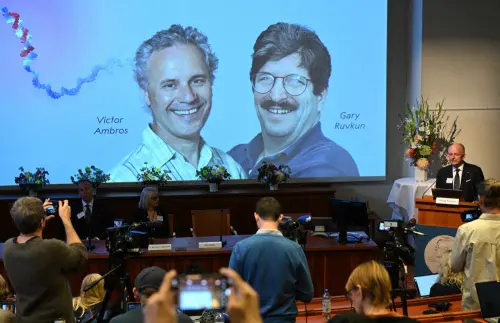 Victor Ambros and Gary Ruvkun