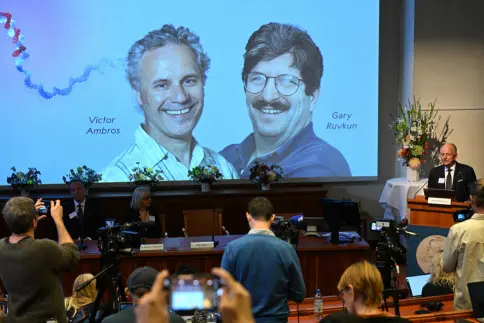 Victor Ambros and Gary Ruvkun win Nobel Prize in Medicine for microRNA