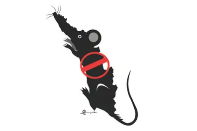 Kerala reports 155 deaths from leptospirosis as cases surge