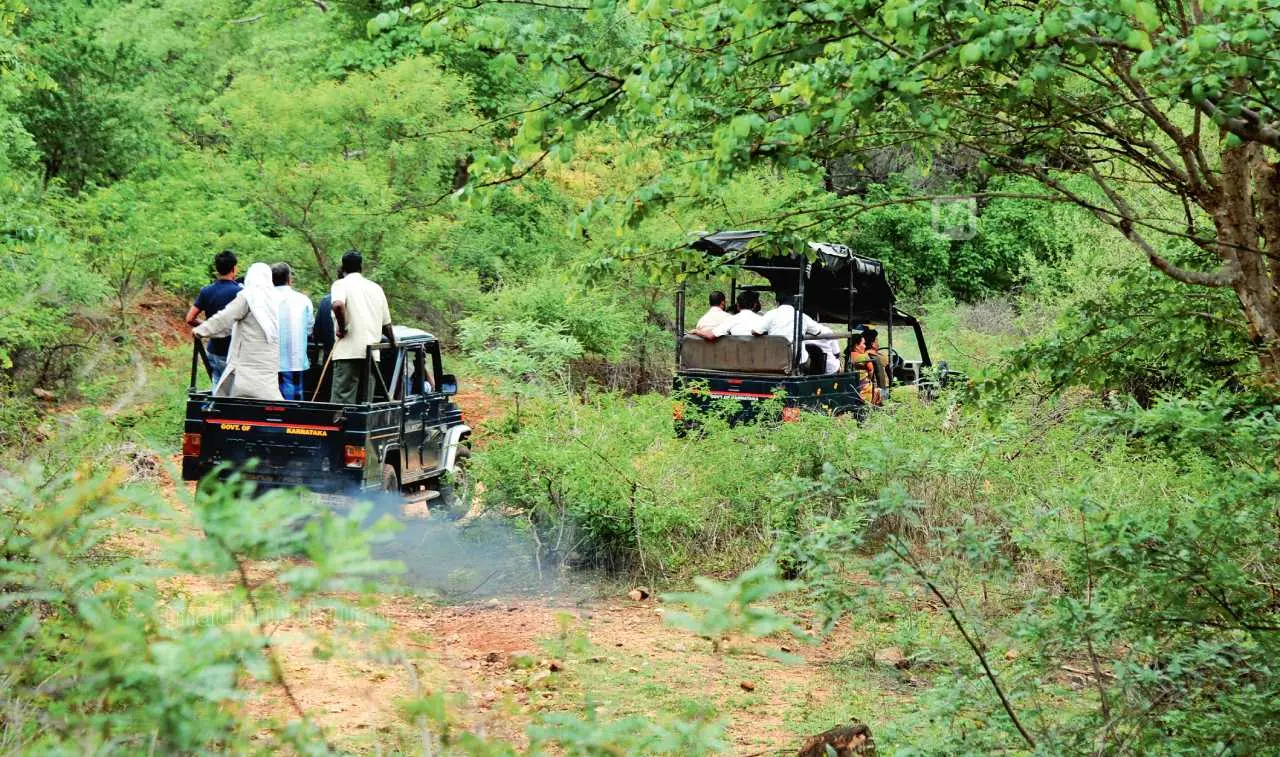 Representative Image | Photo: Mathrubhumi archives