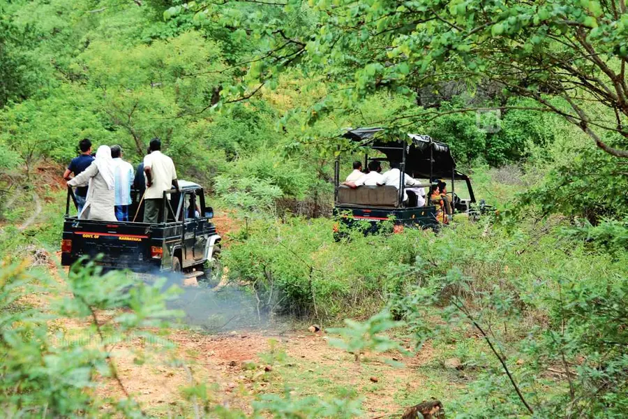 Kerala govt to set up zoo-cum-safari park at Taliparamba in Kannur