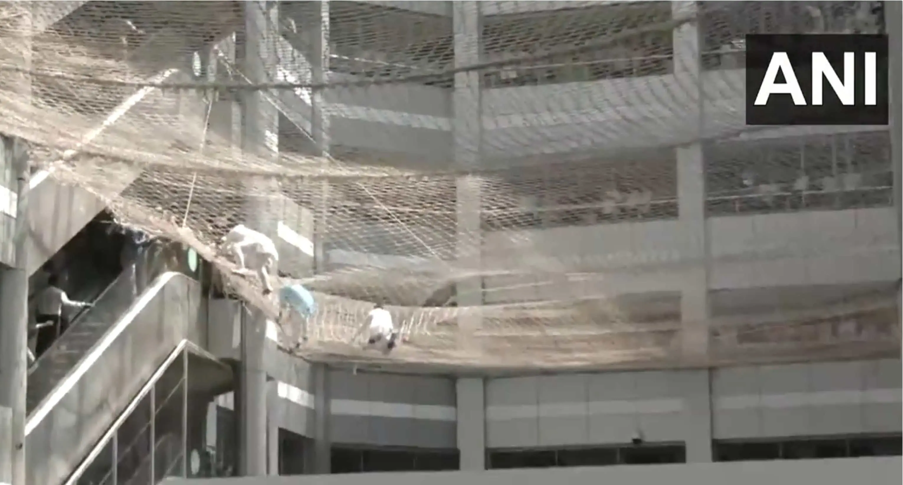 Sceengrab of MLAs climbing back from the safety net | Photo: ANI