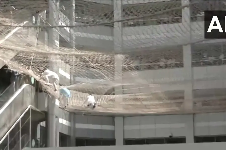 Protesting Maharashtra deputy speaker jumps from third floor, lands in safety net