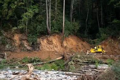 Hurricane Helene: Death toll exceeds 200