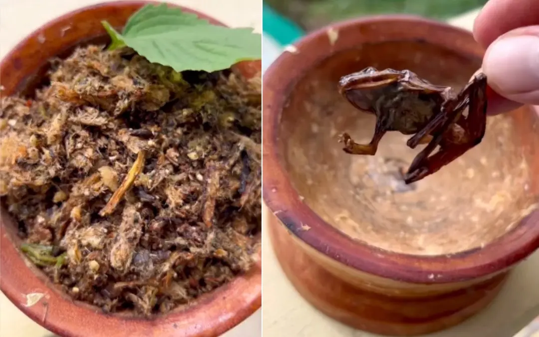 ഉണക്കിയ തവളകളെ ഉപയോഗിച്ച് ഉണ്ടാക്കിയ ചട്ണി | Photo: Instagram/telien_thefoodie