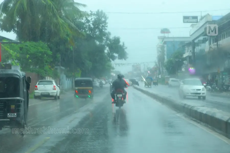Kerala rains: IMD issues yellow alert for 5 districts