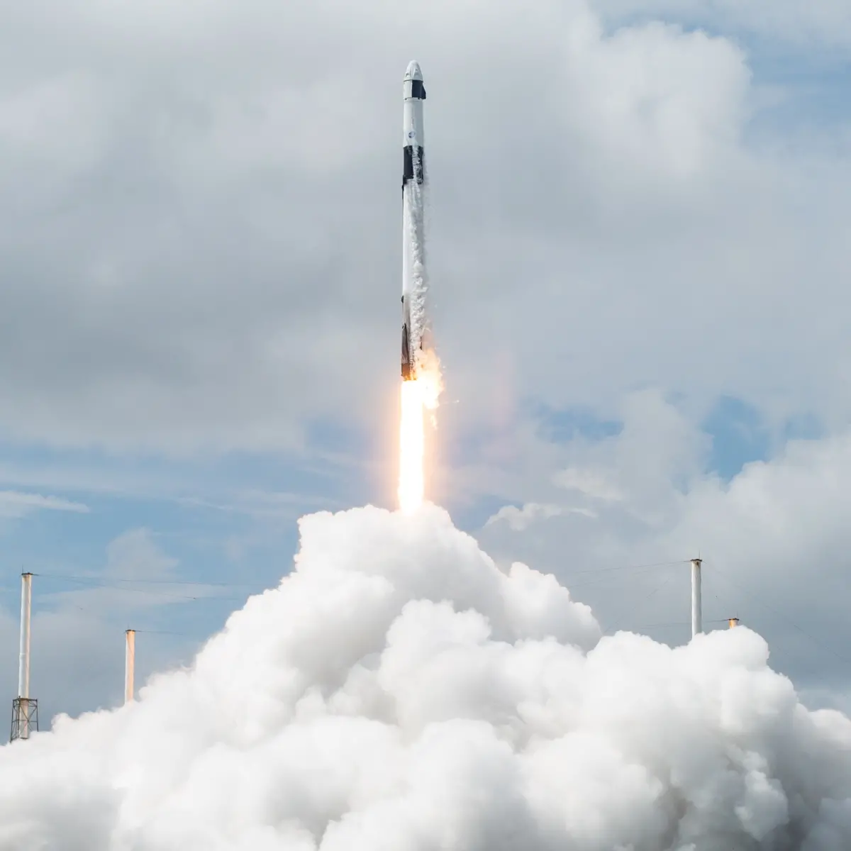 SpaceX Dragon spacecraft | Photo: X/ NASA
