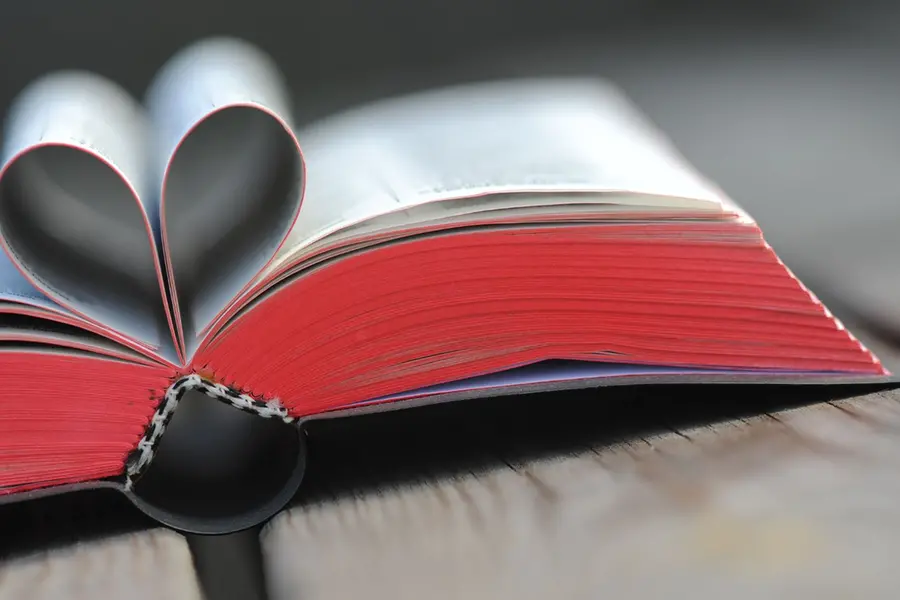 Integrating love into education: A heartfelt proposal for university curricula on World Heart Day