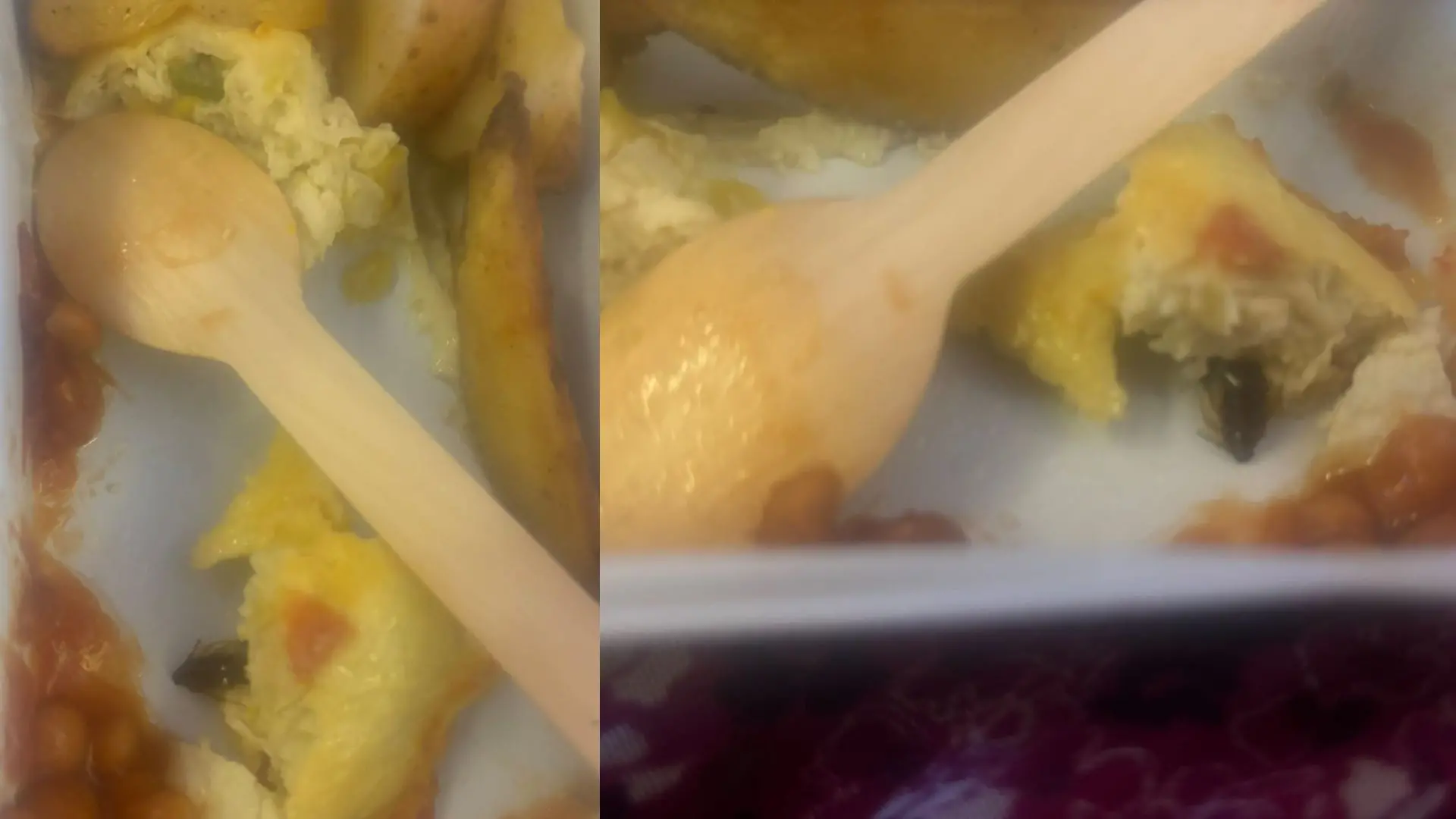 Cockroach found in an omelette served in Air India flight | Photo: X