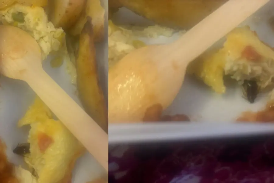 Air India passenger finds cockroach in food served on flight; Airline issues apology | WATCH