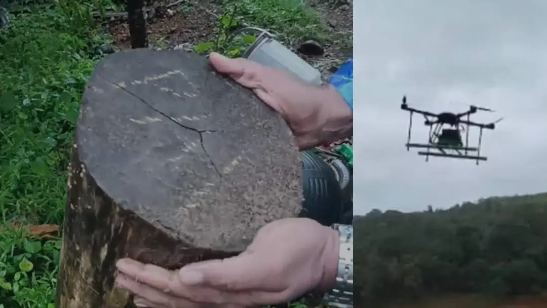 The piece of wood found from the river, drone