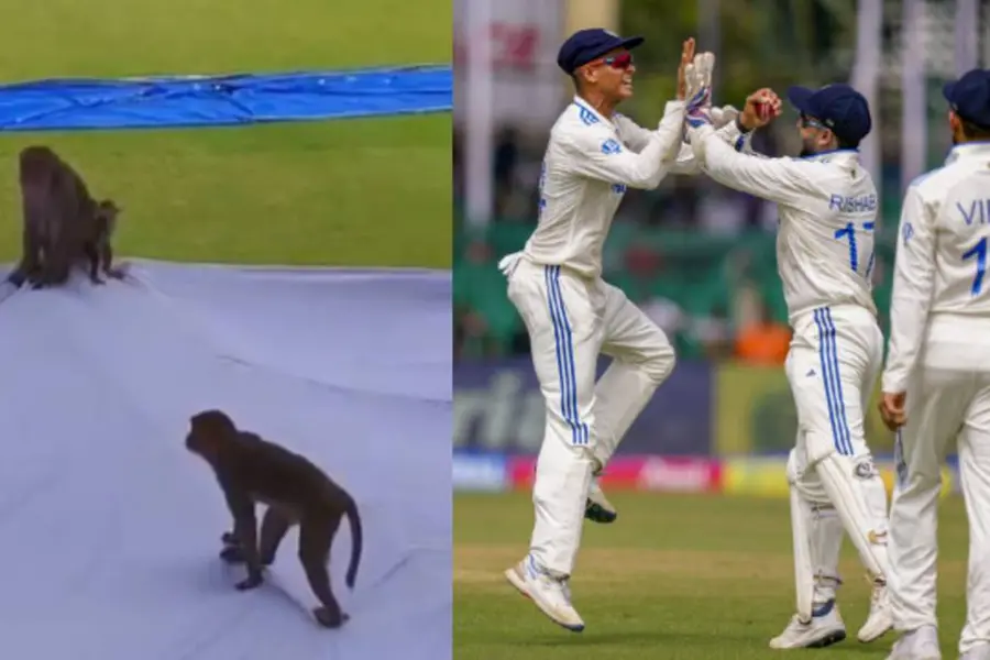 IndiavsBangladesh 2nd Test: Langurs hired to ward off monkey menace at Green Park Stadium in Kanpur