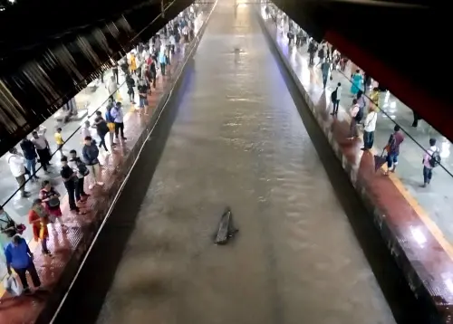 A view of the submerged railway track after heavy rainfall