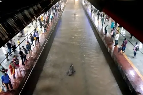 Mumbai rains: 45-year-old woman drowns in Andheri's open drain