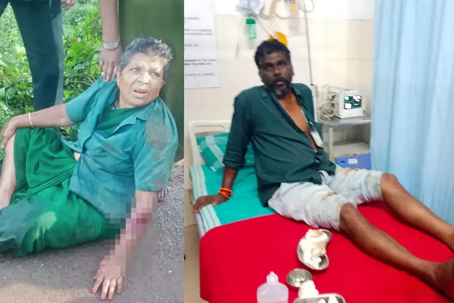 Wild elephant attack in Munnar leaves two injured; woman’s condition critical