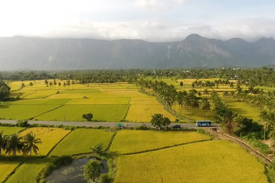 Holiday Planner: Explore Palakkad, the granary and gateway of Kerala