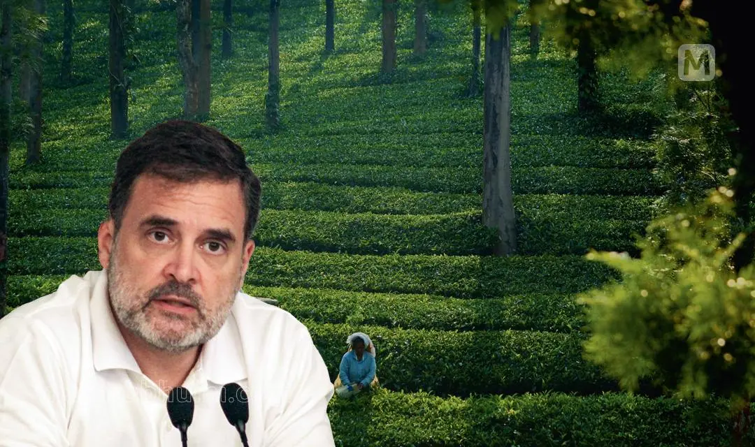 Rahul Gandhi