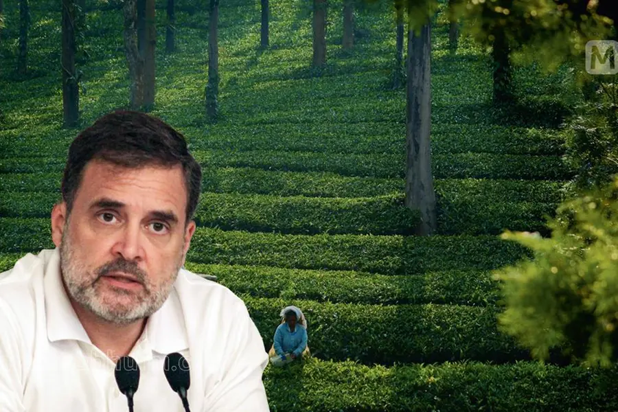 Rahul Gandhi encourages visits to Wayanad to boost tourism