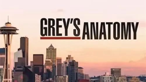 Grey's Anatomy Season 21