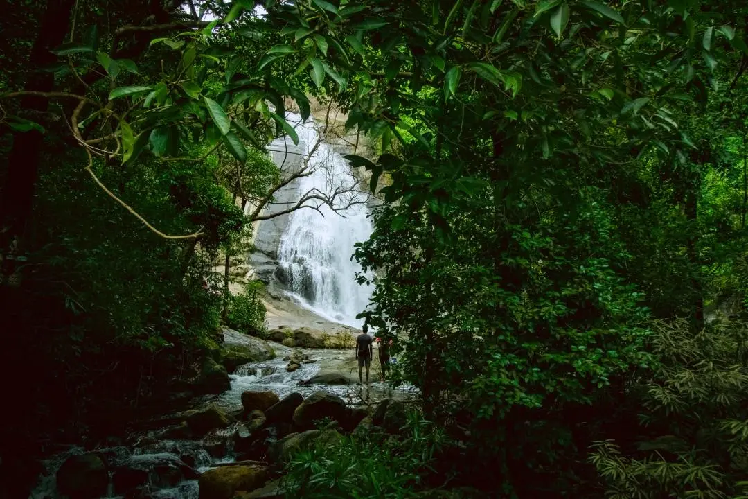 Thusharagiri | Photo: keralatourism.org/