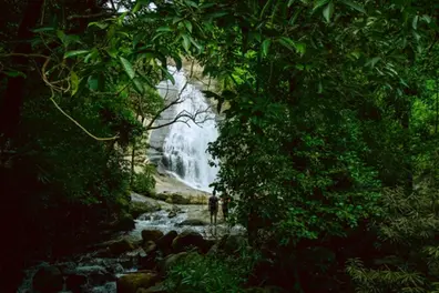 Tushagiri calls: Experience breathtaking waterfalls and serene nature