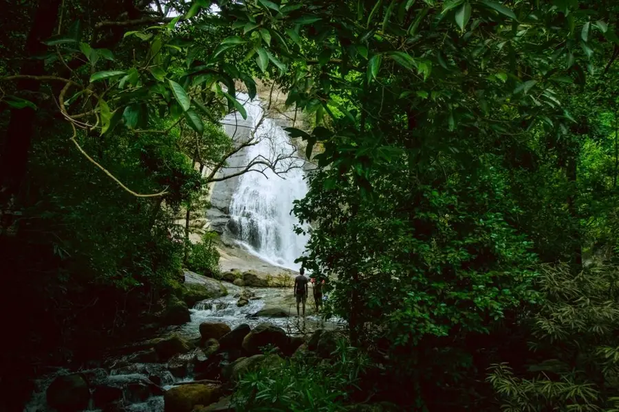 Tushagiri calls: Experience breathtaking waterfalls and serene nature