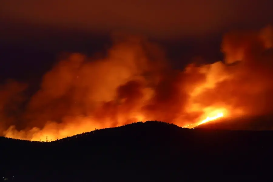Portugal declares state of calamity as deadly wildfires rage out of control