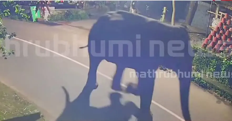 Photo: Screengrab/ Mathrubhumi News