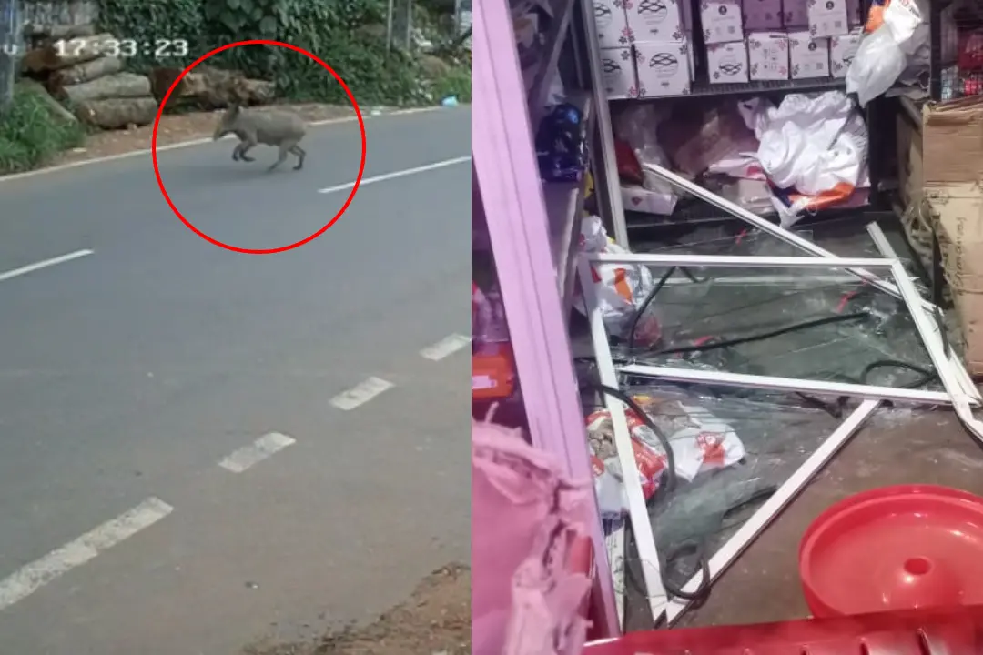 CCTV visual of the incident
