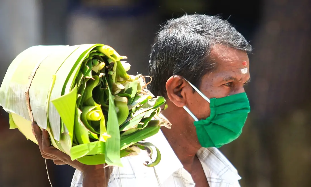 File Photo: Akhil E S/Mathrubhumi
