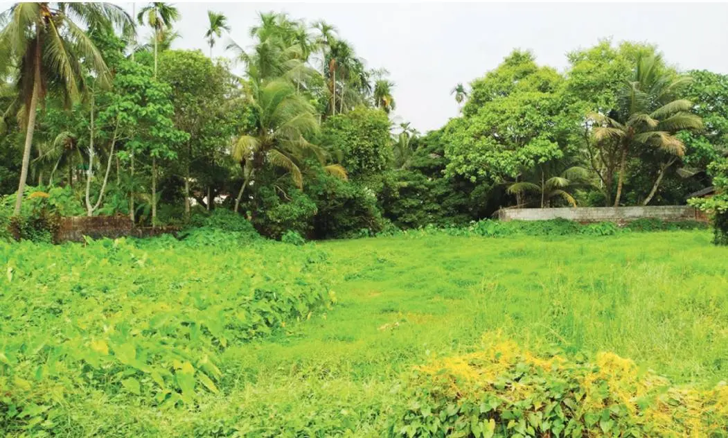 Representational Image | Mathrubhumi