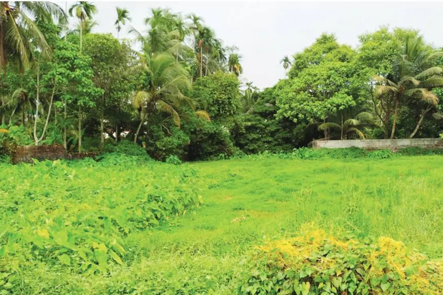 Kerala Industrial department to retrieve 255 acres of land