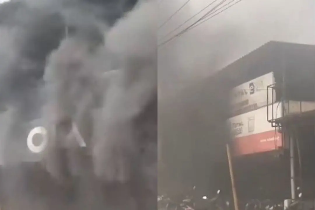 Visuals of the video | Source: IANS