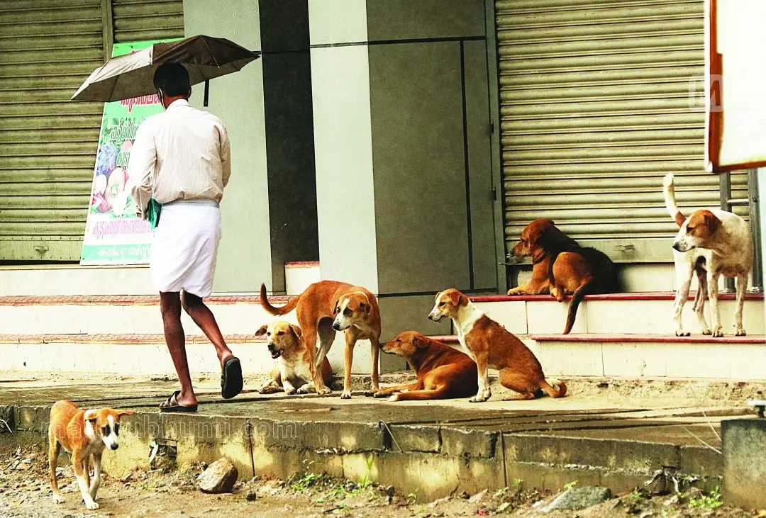 Representational Image. Photo: Mathrubhumi Archives