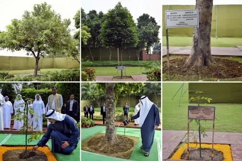 Abu Dhabi Crown Prince plants sapling at Rajghat, continuing 3-decade tradition