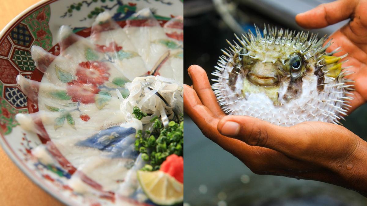 Meet Karin Tabira, 10-year-old chef ...