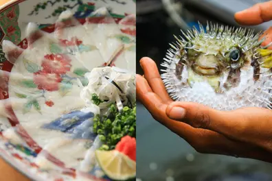 Meet Karin Tabira, 10-year-old chef certified to prepare world's deadliest dish