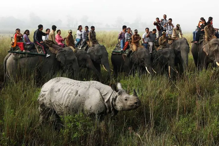 Kaziranga National Park to reopen for tourists on October 1