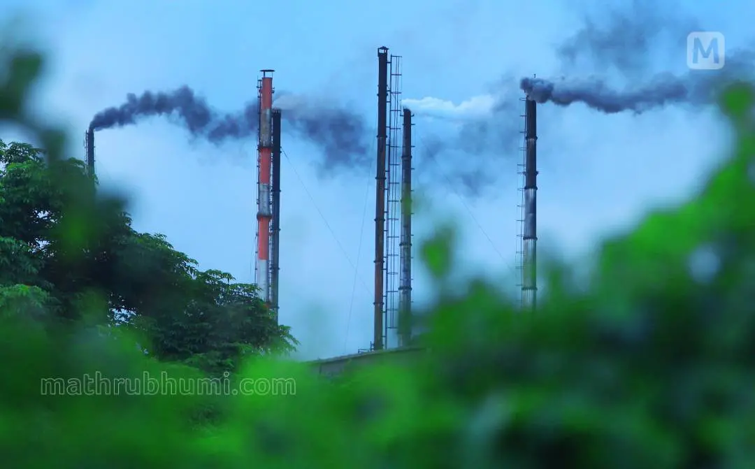 Photo:  P.P Ratheesh  Mathrubhumi archives