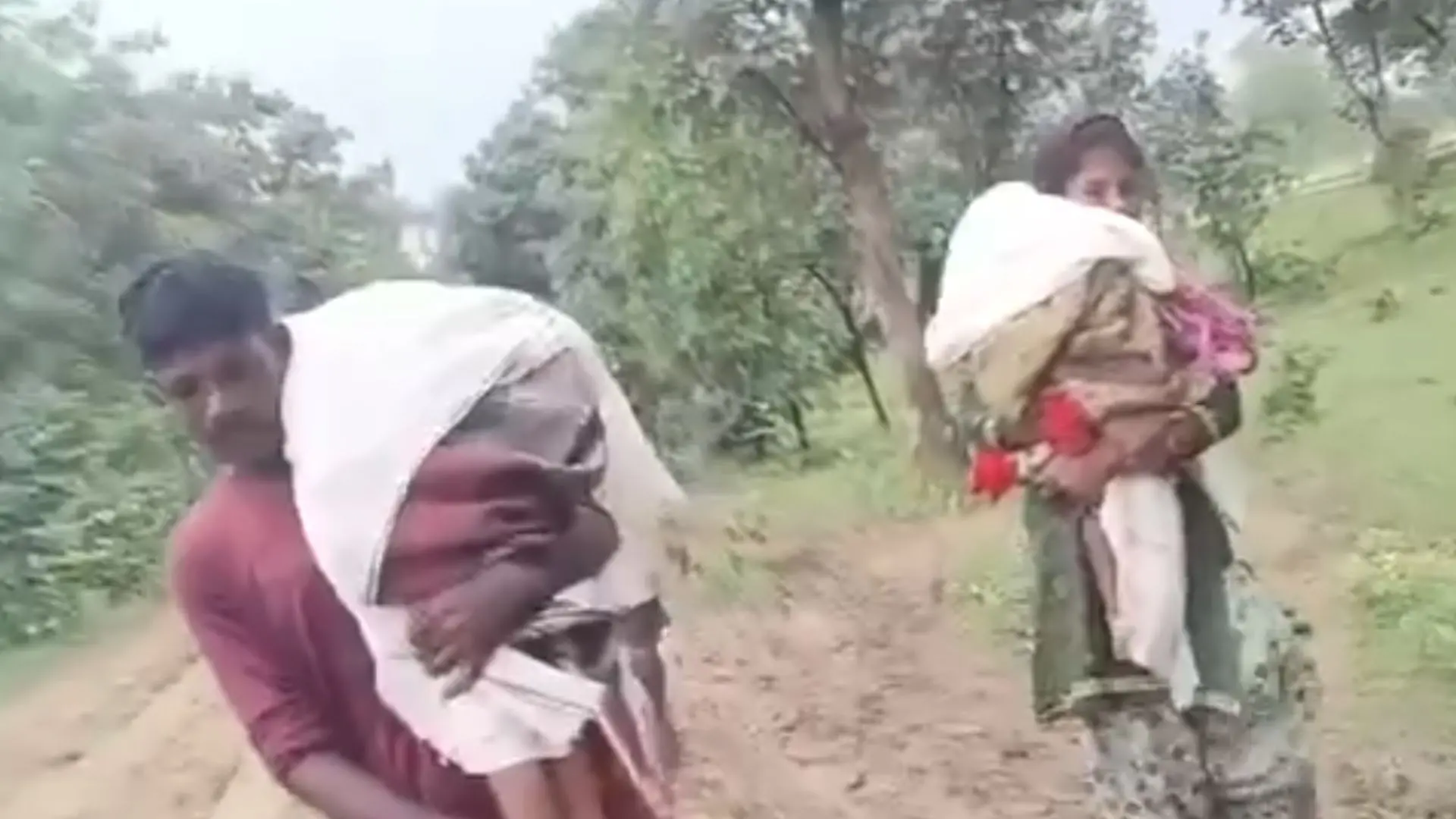 Couple carries dead body of sons for 15 kilometers | Photo: x/Vijay Wadettiwar