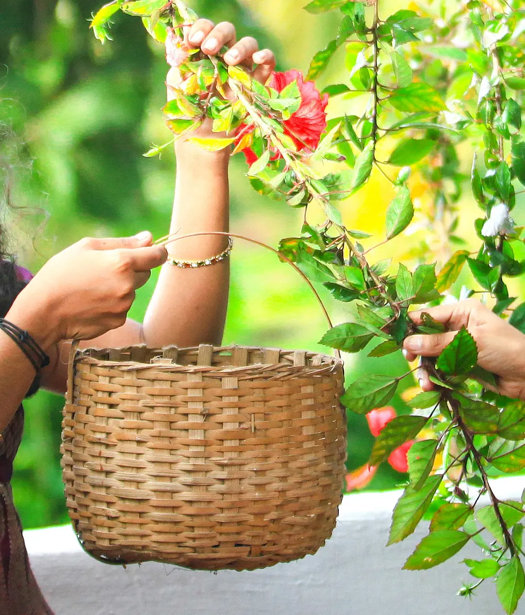 Representational Image | Mathrubhumi