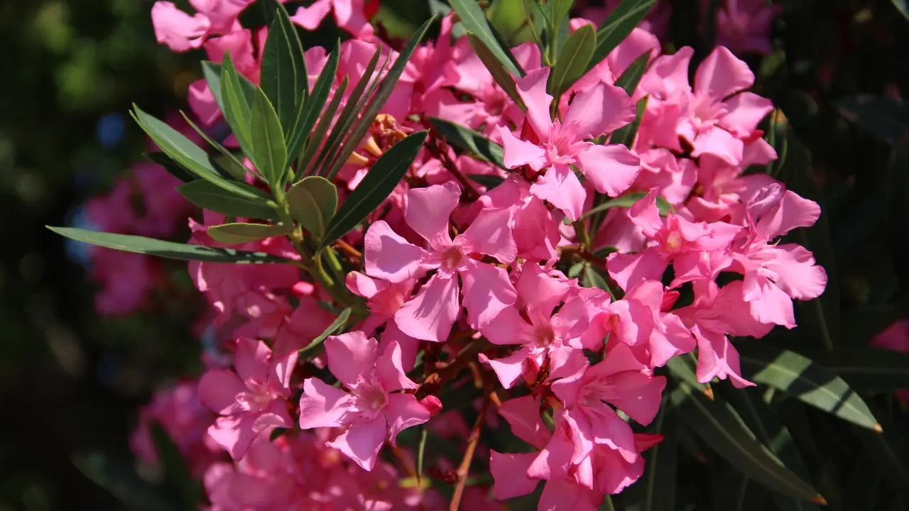 Representational Image | Photo: Canva