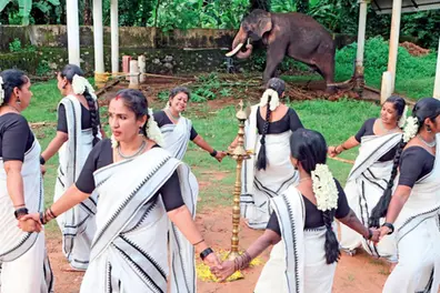 Kerala village celebrates beloved tusker's 50th birthday with special ‘Thiruvathira’